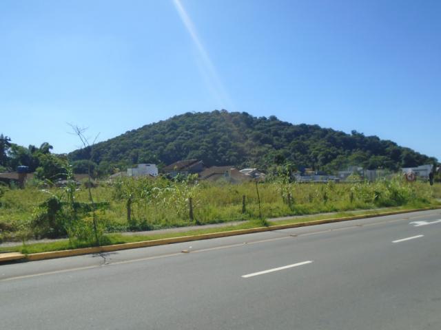 Terreno para alugar em America, Joinville cod:08039.001 - Foto 6