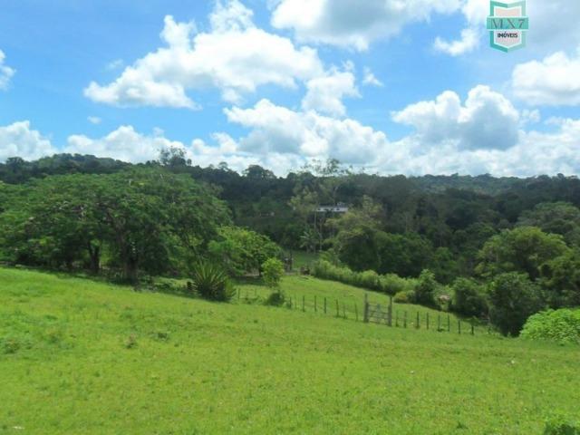 Ilhéus. Fazenda de 200 Hectares, produtora de cacau com toda infraestrutura. - Foto 8