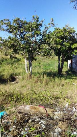 L-Terreno no Bairro Monte Alegre em Cabo Frio - Foto 8