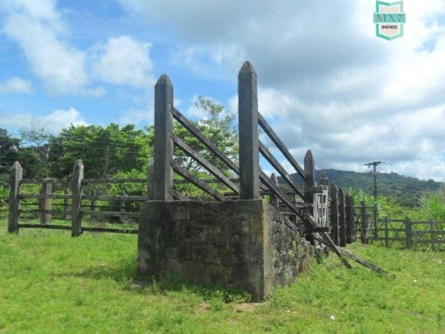 Ilhéus. Fazenda de 200 Hectares, produtora de cacau com toda infraestrutura. - Foto 7