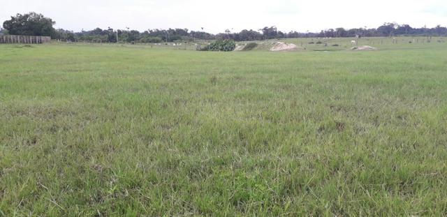 Fazenda bem estruturada - Foto 11
