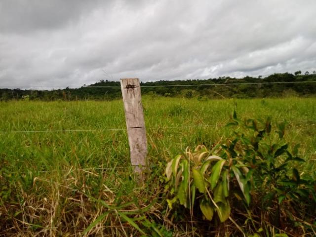 Vende-se uma propriedade rural em Maraú - Foto 3