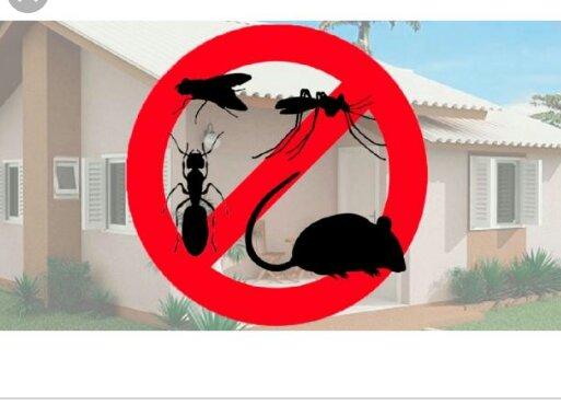 Detetizaçao em Geral