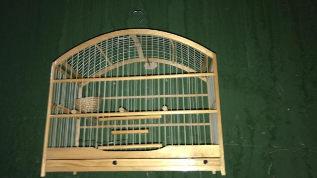Gaiola Nova - Foto 3