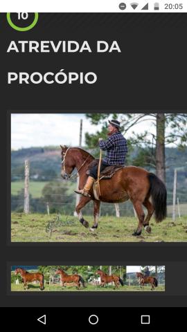 Égua crioula confirmada