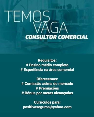 Consultor Comercial