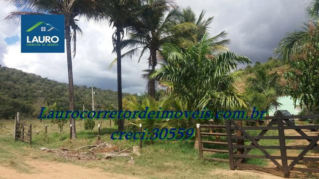 Fazenda com 29 Hectares à 28 km de Teófilo Otoni-MG. - Foto 5