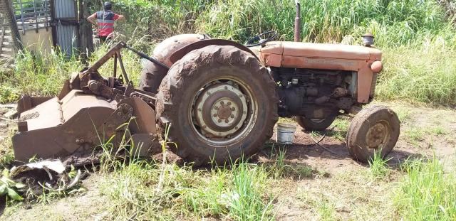 Trator MF 65 X com Rotativa - Foto 3