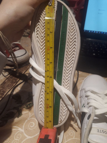 tenis lacoste unisex