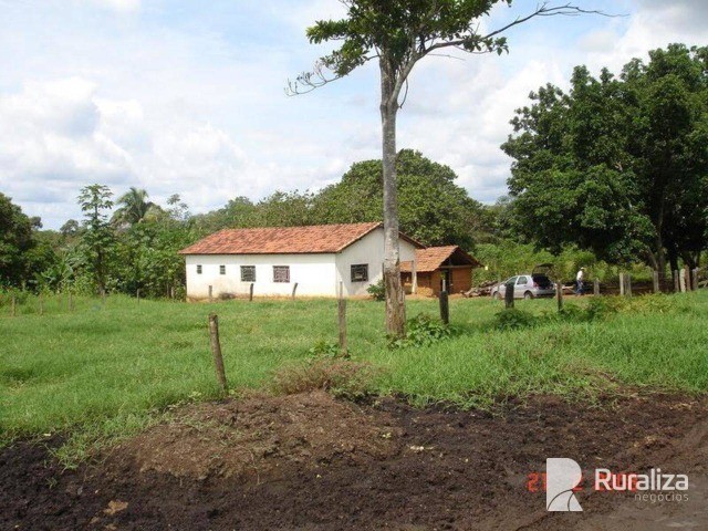 Fazenda em Goianorte para integração lavoura pecuária - Foto 15
