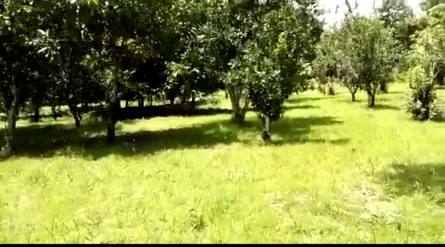 Chácara no Vila Acre