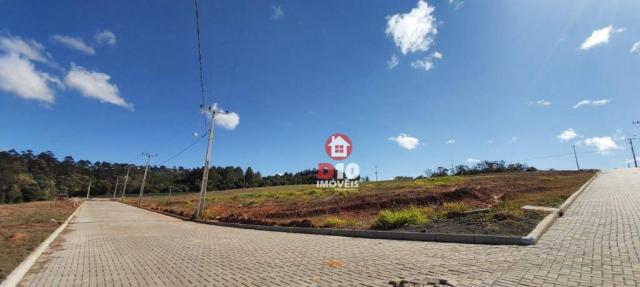 Terreno à venda, 800 m² por R$ 331.398 - Argentina - Criciúma/SC - Foto 20