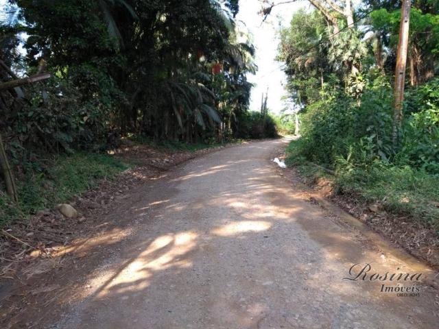 Área à venda, 22967 m² por r$ 210.000 - américa de baixo - morretes/pr - Foto 15