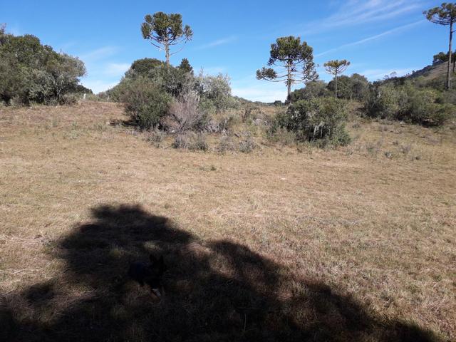 Terreno em Urupema - Foto 3
