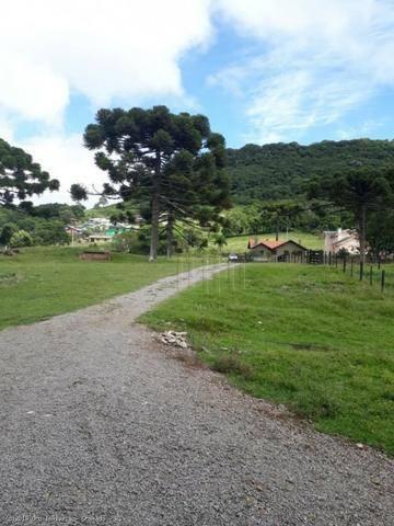 Sítio à venda, 4 m² por r$ 2.156.000 - serra grande - gramado/rs - Foto 9