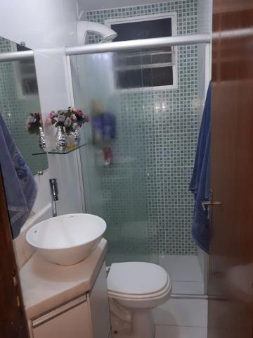 Apartamento - padre eustáquio - Foto 5