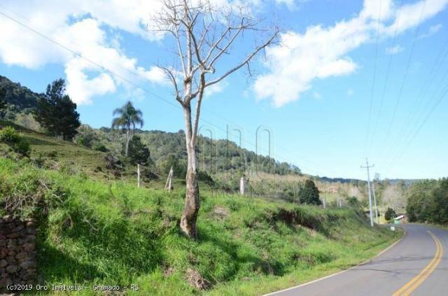 Sítio à venda, 45000 m² por r$ 897.000,00 - linha bonita - gramado/rs - Foto 6
