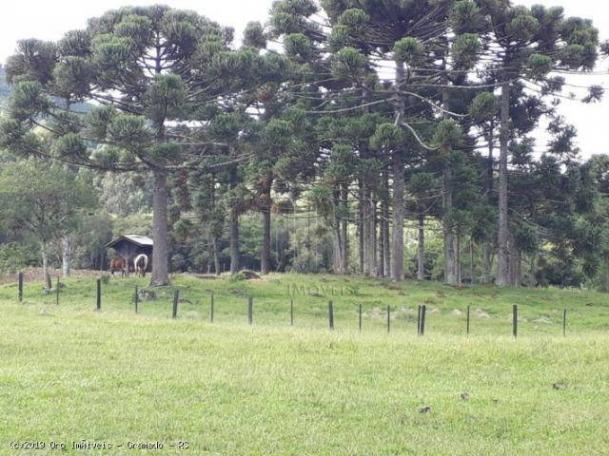 Sítio à venda, 4 m² por r$ 2.156.000 - serra grande - gramado/rs - Foto 13