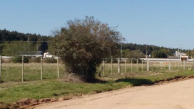 Àrea na BR116 em Camaquã RS