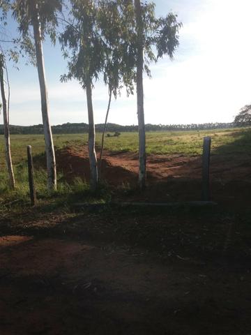 Fazenda em Nova Marilândia 206 alquers - Foto 11