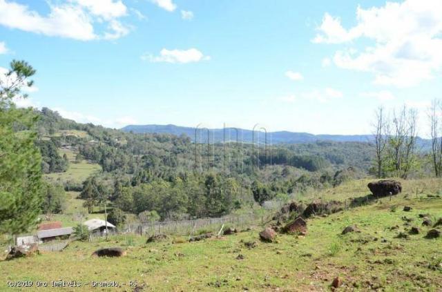 Sítio à venda, 45000 m² por r$ 897.000,00 - linha bonita - gramado/rs