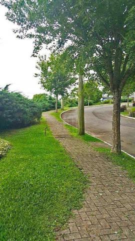 Terreno à venda, 869 m² por r$ 180.000,00 - lago negro - gramado/rs - Foto 8