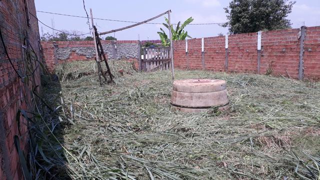 Terreno - Foto 5