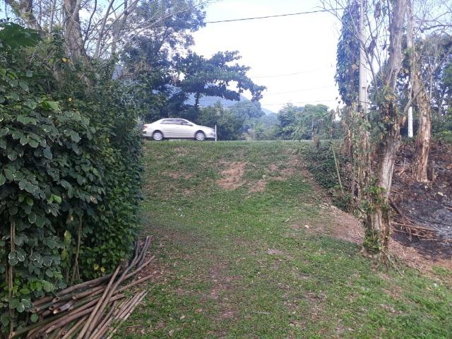 Caetano Imóveis - Sítio de 4.600m² com localização privilegiada (c/ acesso asfaltado!) - Foto 6