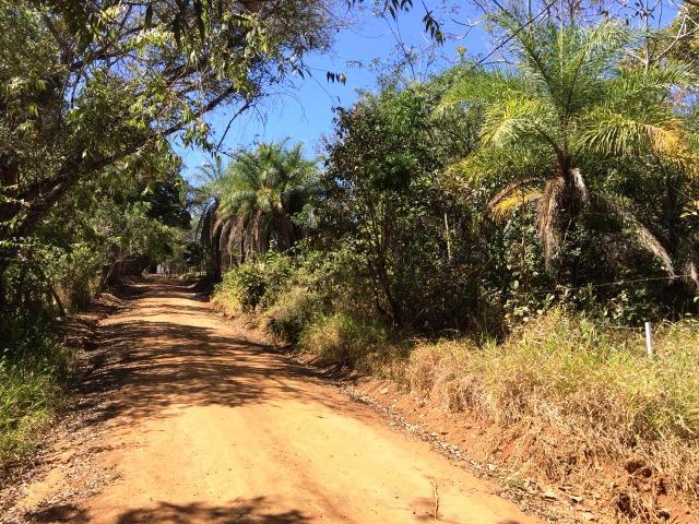 Oportunidade - Lotes Financiados Sem Entrada - Foto 3
