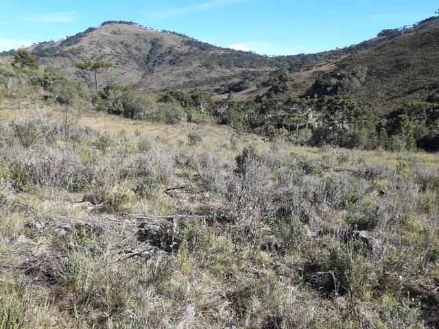 Terreno em Urupema - Foto 5