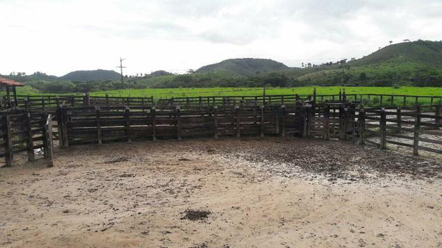 Fazenda em buriticupu - Foto 14