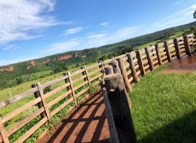 Fazenda em Nova Marilândia 206 alquers - Foto 4