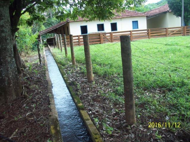 Chácara em Anicuns, 2 Alqueires e 37 Litros de Pura Beleza e Encantamento, Rica em Água - Foto 16