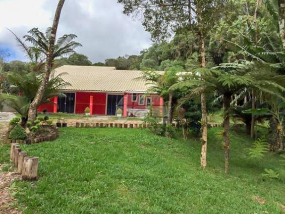 Chácara à venda em Faxina, São josé dos pinhais cod:149811 - Foto 14