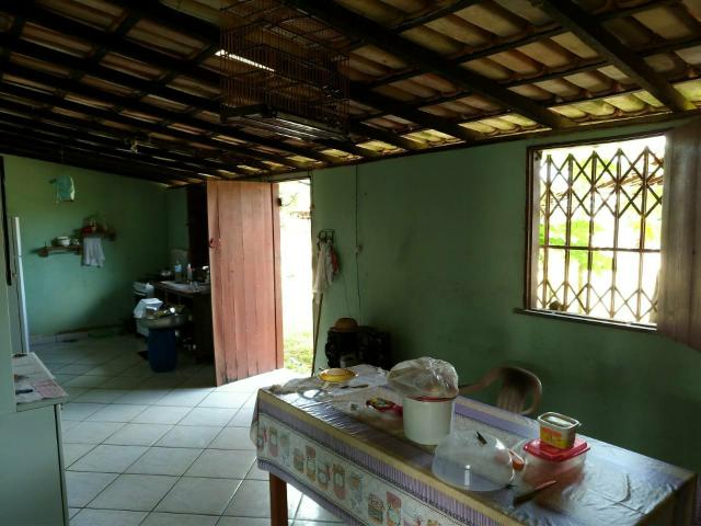 Vendo criatorio de suínos - Foto 11