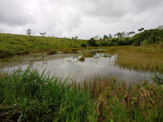Vende-se uma propriedade rural em Maraú - Foto 5