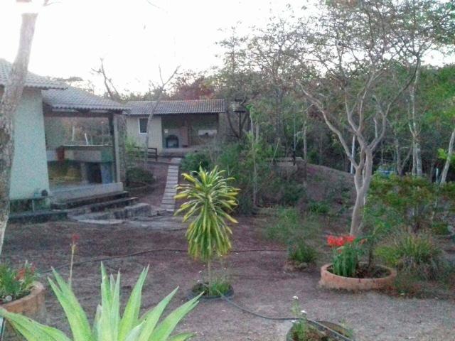 Chácara 3 hectares - Foto 4