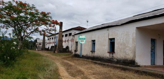 Camacan. Fazenda de Cacau com 430 Hectares. Rica em água - Foto 15