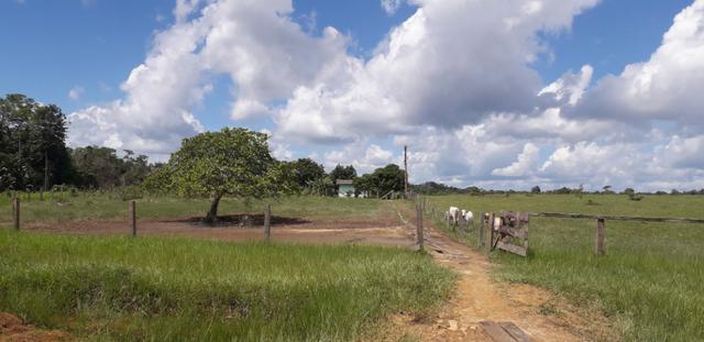 Fazenda bem estruturada - Foto 7