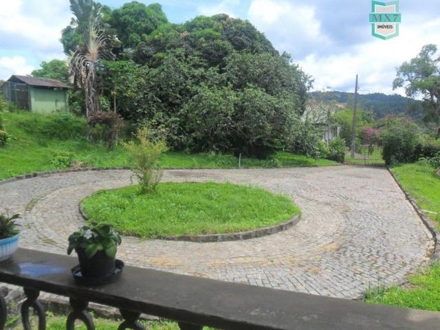 Ilhéus. Fazenda de 200 Hectares, produtora de cacau com toda infraestrutura. - Foto 12