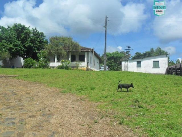 Ilhéus. Fazenda de 200 Hectares, produtora de cacau com toda infraestrutura. - Foto 5