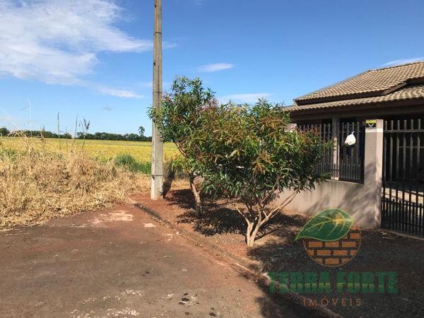 Casa com 2 quartos - Bairro Jardim Planalto em Arapongas - Foto 2