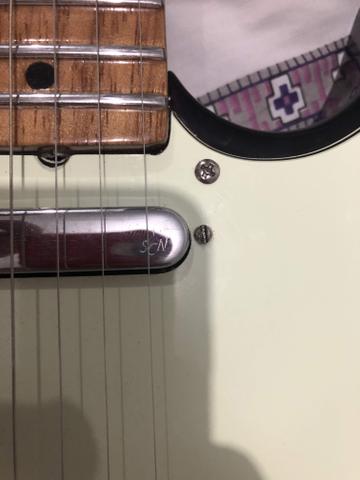 Vguitars telecaster custom troco