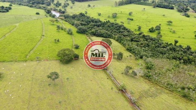 Fazenda de 15 alqueires a 37 km de Goiânia - Foto 18