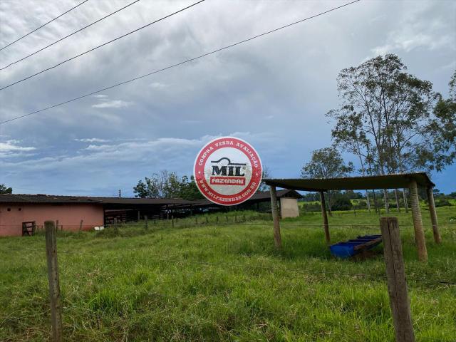 Fazenda de 15 alqueires a 37 km de Goiânia - Foto 13