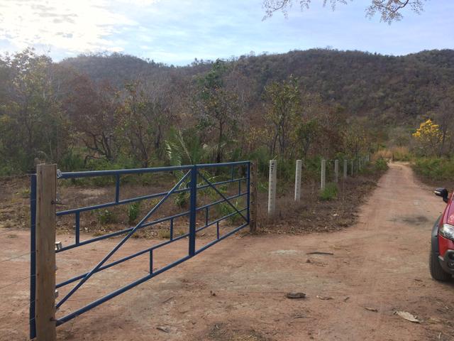 Chácara 4500 m2 no km 33 sentido Palmas/Lajeado - Foto 3