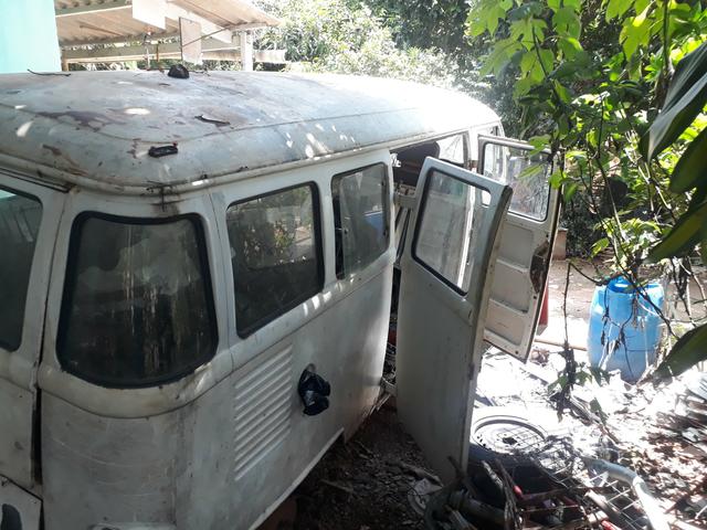 Galinha morta e pelada - Foto 2
