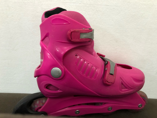 olx patins porto alegre