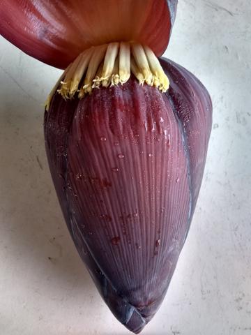 Coração De Bananeira/umbigo Da Banana - Foto 5