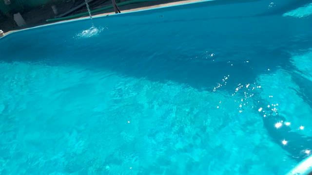 Limpeza e Manutenção de Piscinas em geral